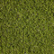 thumb-1